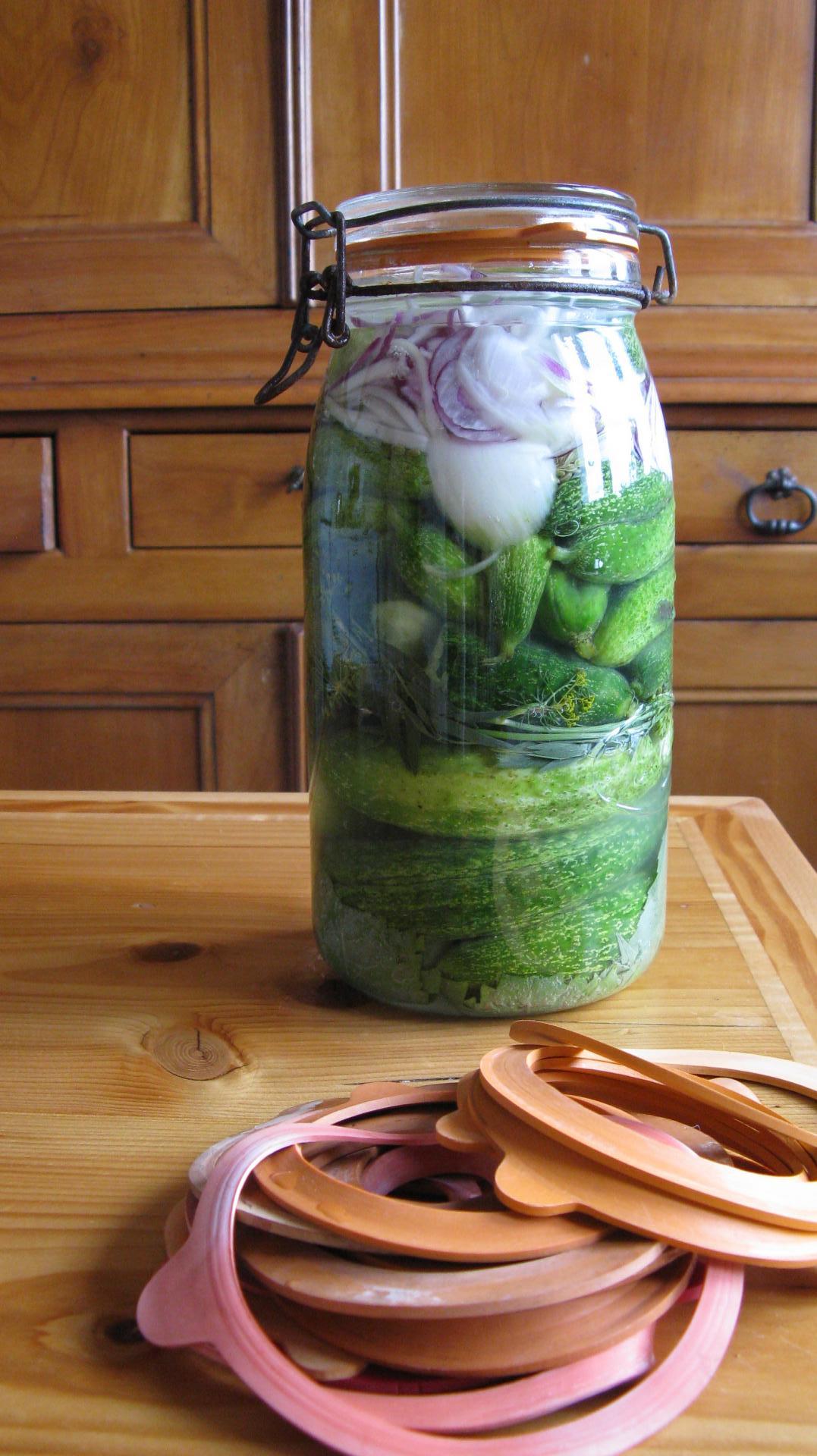 Conserve de cornichons : bocaux de cornichons lacto fermentés